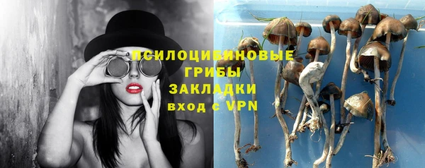 СК Алзамай