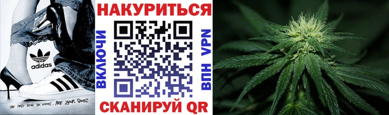 Бошки марихуана White Widow Тула