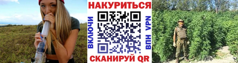 Конопля планчик  Купить  Тула 
